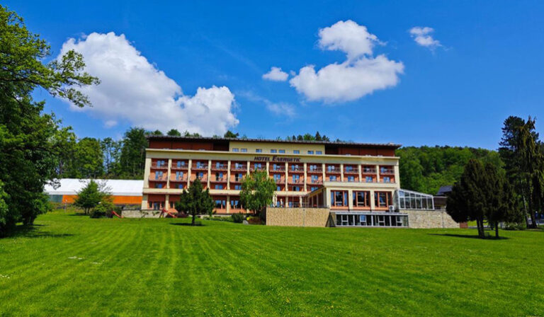 Wellness Hotel Energetic****