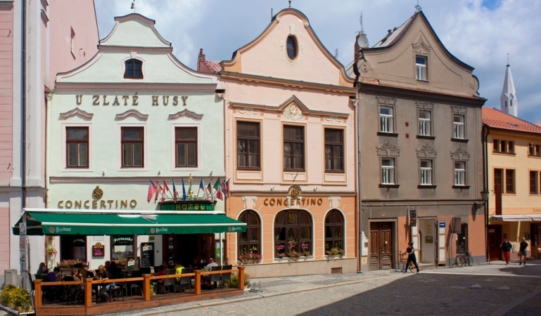 H. Concertino – Zlatá Husa****